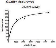 JMJD2B Active human recombinant, expressed in baculovirus infected insect cells, &#8805;40% (SDS-PAGE)