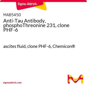 Anti-Tau Antibody, phosphoThreonine 231, clone PHF-6 ascites fluid, clone PHF-6, Chemicon®
