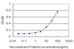 Monoclonal Anti-RNF17 antibody produced in mouse clone 1E3, purified immunoglobulin, buffered aqueous solution