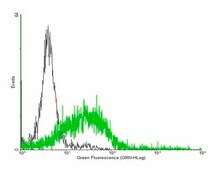Anti-IL22RA1 antibody produced in mouse purified immunoglobulin, buffered aqueous solution