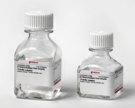 &#946;-Glucuronidase from limpets (Patella vulgata) aqueous solution