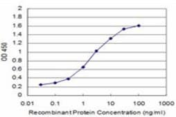 Monoclonal Anti-MAGEA9 antibody produced in mouse clone 1E3, purified immunoglobulin, buffered aqueous solution