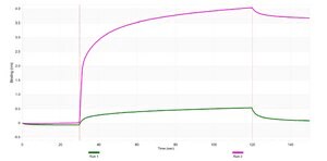 Anti-Nibrin/NBS1 Antibody, clone 3L23 ZooMAb&#174; Rabbit Monoclonal recombinant, expressed in HEK 293 cells