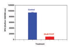 线粒体膜电位检测试剂盒（适用于酶标仪） sufficient for 500&#160;fluorometric&nbsp;tests (orange fluorescence, microplate readers)