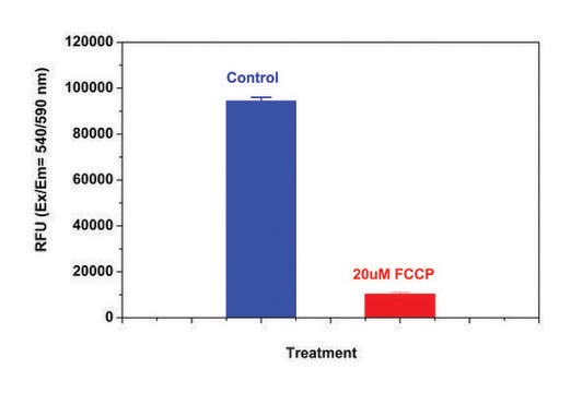 Mitochondrion Membrane Potential Kit sufficient for 500 fluorometric&nbsp;tests (orange fluorescence, microplate readers)