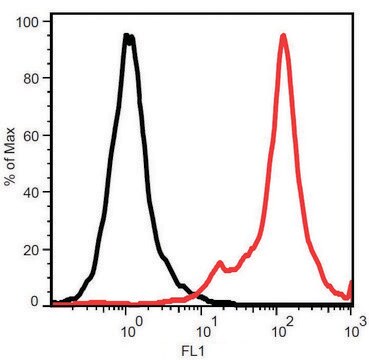 Monoclonal Anti-STRO-1 antibody produced in mouse clone STRO-1, purified immunoglobulin, buffered aqueous solution