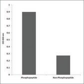 Anti-phospho-FLT3 (pTyr842) antibody produced in rabbit affinity isolated antibody