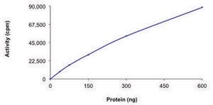VRK2, active, GST tagged human PRECISIO®, recombinant, expressed in baculovirus infected Sf9 cells, ≥70% (SDS-PAGE), buffered aqueous glycerol solution