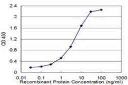 Monoclonal Anti-ID1 antibody produced in mouse clone 3A9, purified immunoglobulin, buffered aqueous solution