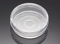 Corning&#174; BioCoat&#8482; Poly-D-Lysine #1 German Glass Coverslip size 12&#160;mm, pkg of 80&#160;ea (1 pack,Bulk Packed)
