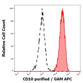 Monoclonal Anti-CD10 antibody produced in mouse clone LT10, purified immunoglobulin, buffered aqueous solution