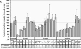 抗-亨廷顿蛋白抗体，克隆mEM48 culture supernatant, clone mEM48, Chemicon®
