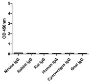 Alpaca Anti-Mouse IgM(µ chain) HRP single domain Antibody recombinant Alpaca(VHH) Nano antibody