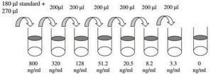 人类 MMP-2 ELISA 试剂盒 for serum, plasma, cell culture supernatant