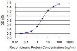 Monoclonal Anti-TEAD3 antibody produced in mouse clone 1C4, purified immunoglobulin, buffered aqueous solution