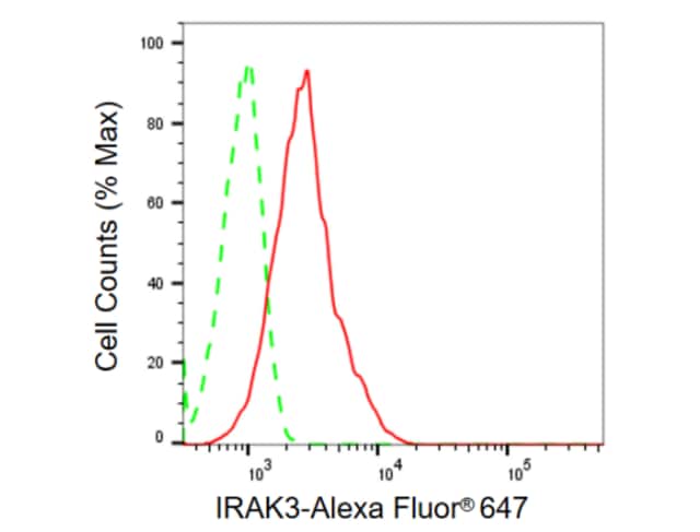 KD-Validated Anti IRAK3 Antibody, clone 23GB875, Rabbit Monoclonal clone 23GB875, recombinant rabbit monoclonal, expressed in HEK293 cells