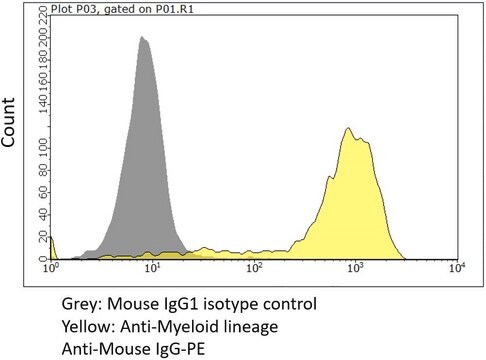 Anti-Myeloid lineage Antibody, clone OX-82