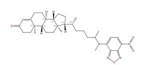 25-NBD cholest-4-en-3-one Avanti Research™ - A Croda Brand