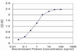 Monoclonal Anti-ZFHX4 antibody produced in mouse clone 5E6, purified immunoglobulin, buffered aqueous solution