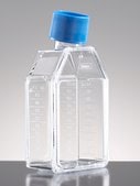 Corning® BioCoat™ Laminin Cell Culture Flask capacity 75 cm2, rectangular flask, canted neck, cap, with Plug Seal Cap