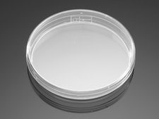 Corning® Falcon® Bacteriological Petri Dish W × H 100 mm × 15 mm, standard lid, sterile
