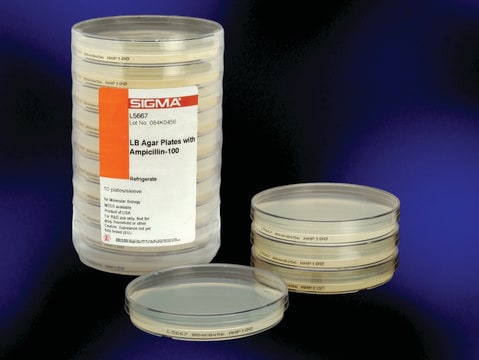 LB Agar Plates pre-poured LB agar plates for E. coli