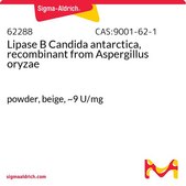 Lipase B Candida antarctica, recombinant from Aspergillus oryzae powder, beige, ~9 U/mg
