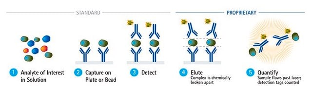 SMC&#174; KIM-1 Immunoassay Kit