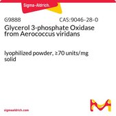 Glycerol 3-phosphate Oxidase from Aerococcus viridans lyophilized powder, ≥70 units/mg solid
