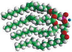 18:1 BDP (S,S) sn-[2,3-dioleoyl]-glycerol-1-phospho-sn-1′-[2′,3′-dioleoyl]-glycerol (ammonium salt), chloroform