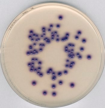 Chromocult&#174; Coliform Agar ISO 9308-1: 2014, For the simultaneous detection and enumeration of coliform bacteria and E. coli