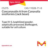 Concanavalin A from Canavalia ensiformis (Jack bean) Type IV-S, lyophilized powder, aseptically processed, BioReagent, suitable for cell culture