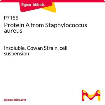 蛋白质A 来源于金黄色葡萄球菌 Insoluble, Cowan Strain, cell suspension
