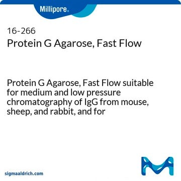 蛋白G琼脂糖，快流量 Protein G Agarose, Fast Flow suitable for medium and low pressure chromatography of IgG from mouse, sheep, and rabbit, and for immunoprecipitations.