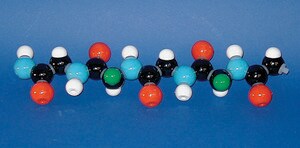 Molymod® Individual organic model set Amino acid models collection set