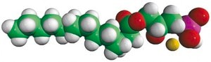 14:0 Lyso PA 1-myristoyl-2-hydroxy-sn-glycero-3-phosphate (sodium salt), powder