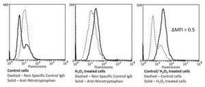 Monoclonal Anti-Nitrotryptophan-FITC antibody produced in mouse clone 2D12