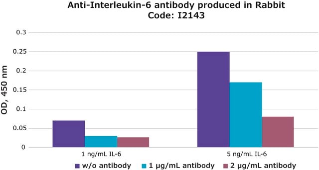 Anti-Interleukin-6 antibody produced in rabbit IgG fraction of antiserum, buffered aqueous solution