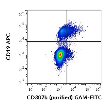 Monoclonal Anti-CD307b purified produced in mouse