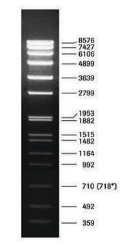 DNA Molecular Weight Marker VII pkg of 50&#160;&#956;g (in 200 &#956;l), solution