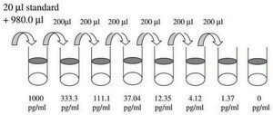 Human Eotaxin-2 / CCL24 ELISA Kit for serum, plasma, cell culture supernatant and urine