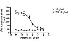 PrecisION&#174; hERG ion channel membrane preparation Human ERG ion channel membrane preparation for Radioligand binding Assays.