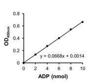 ADP 比色法检测试剂盒 II sufficient for 100 colorimetric&nbsp;tests
