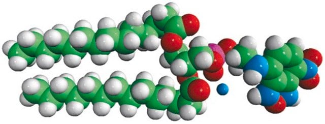 14:0 NBD PE Avanti Polar Lipids 810143C