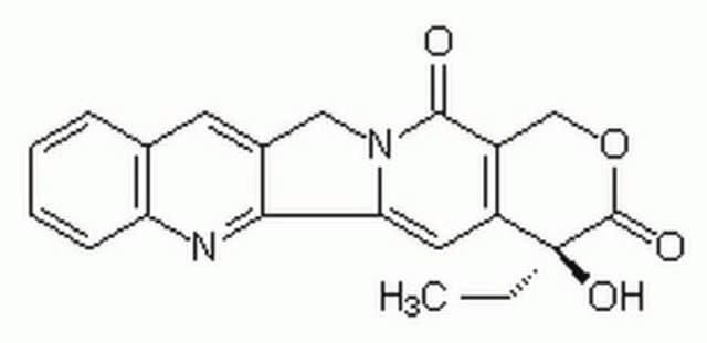 Camptothecin, Camptotheca acuminata A cell-permeable DNA topoisomerase I inhibitor.