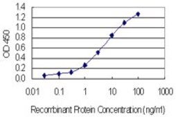 Monoclonal Anti-SSX4 antibody produced in mouse clone 3E10, purified immunoglobulin, buffered aqueous solution