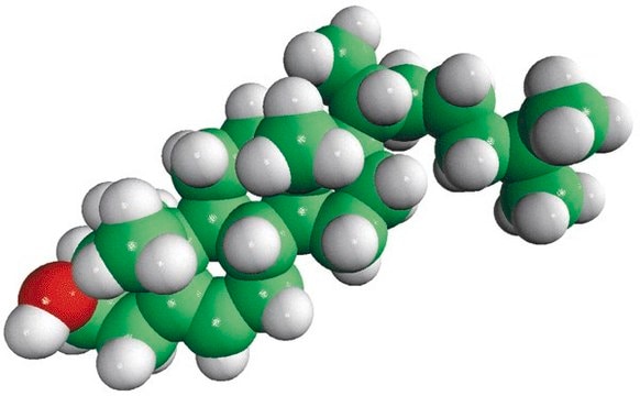 胆固醇（植物） Avanti Polar Lipids