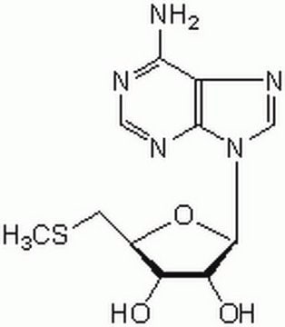 5&#8242;-Deoxy-5&#8242;-methylthioadenosine A cell-permeable, reversible, and ATP-competitive naturally-occurring co-product of polyamine biosynthesis that acts as an endogenous substrate of methylthioadenosine phosphorylase (MTAP).