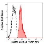 Monoclonal Anti-SCIMP antibody produced in mouse clone NVL-07
