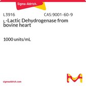 L-Lactic Dehydrogenase from bovine heart 1000 units/mL
